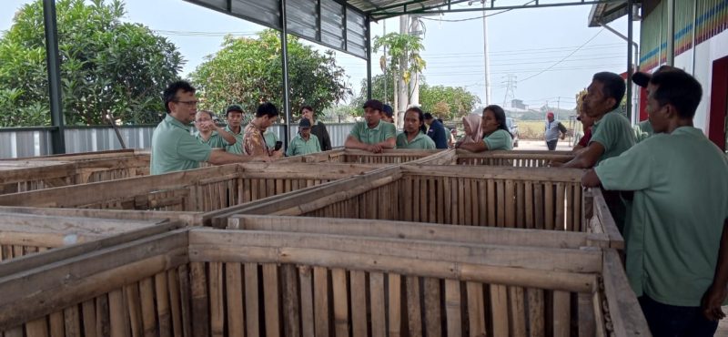 WTE ITPLN Indramayu 1