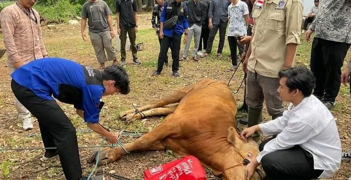 ITPLN dan DKM ITPLN Berkolaborasi Dalam Pelatihan Penyembelihan Hewan Kurban - 1